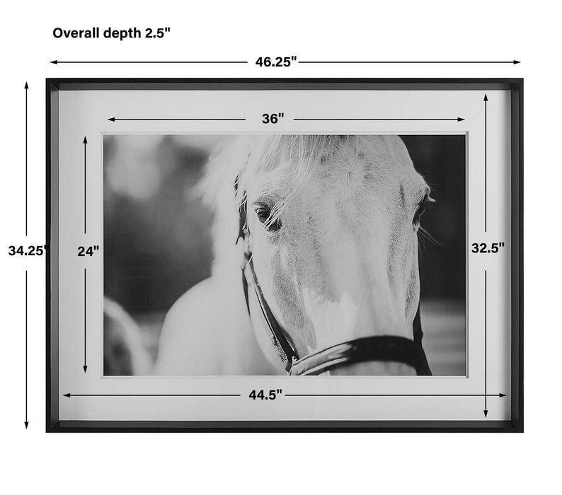 Eyes On The Prize - Framed Print - White