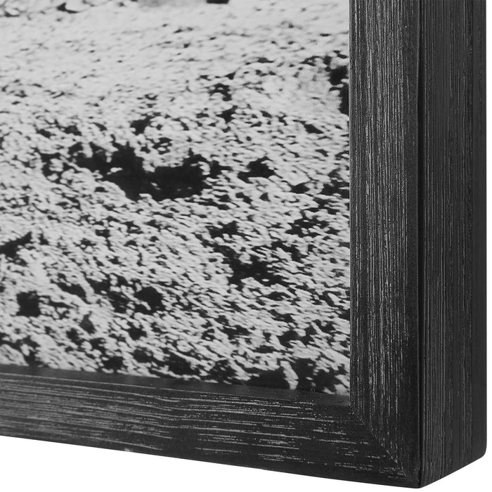 Galloping - Forward Equine Prints (Set of 3)