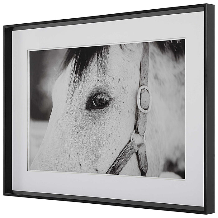 Eye Of The Beholder - Framed Print - White