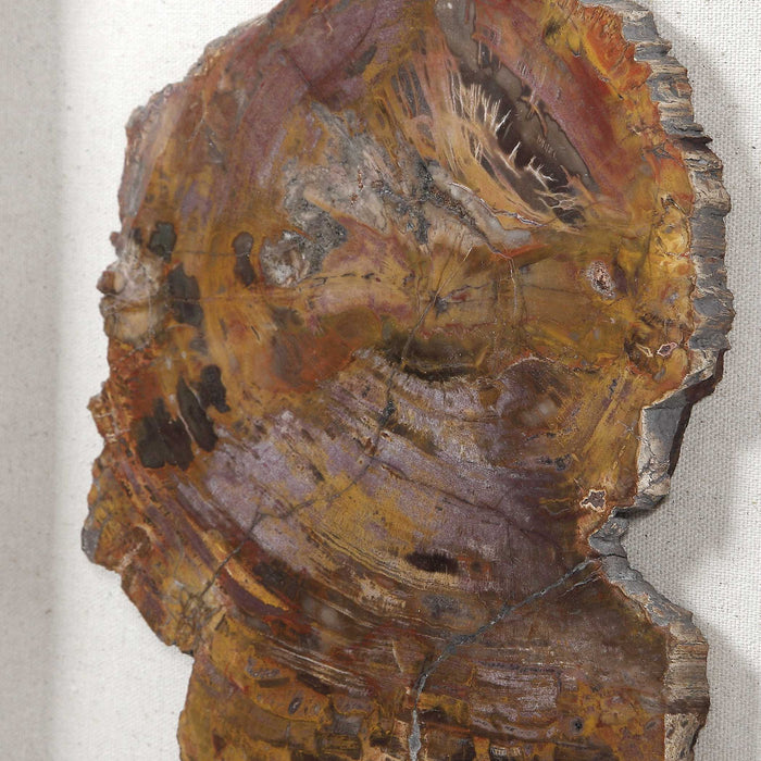 Uly - Shadow Box - Brown / Woodtone