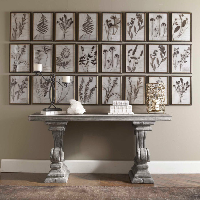 Botany - Framed Prints (Set of 18) - Black / Brown / Gold