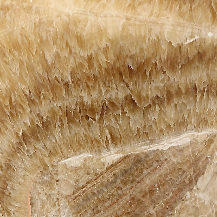 Statuesque - Table Lamp - Latte Onyx