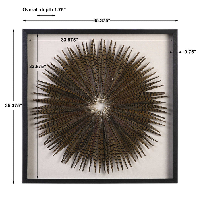 Feather Burst - Shadow Box - Black / Brown