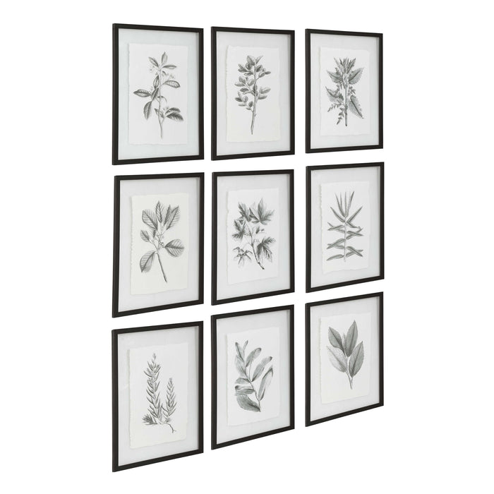 Farmhouse Florals - Framed Prints (Set of 9) - Black