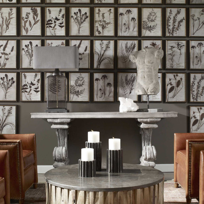 Botany - Framed Prints (Set of 18) - Black / Brown / Gold