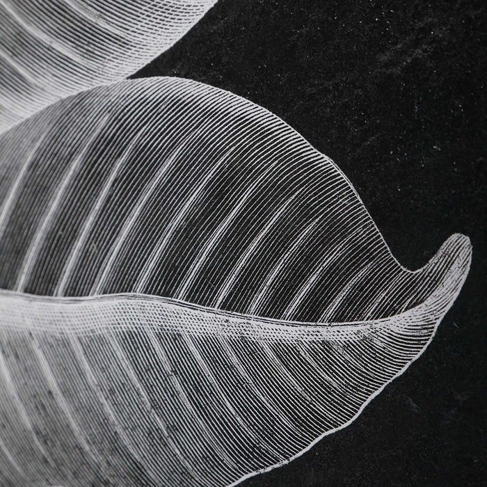 Foliage - Framed Prints (Set of 6) - Black