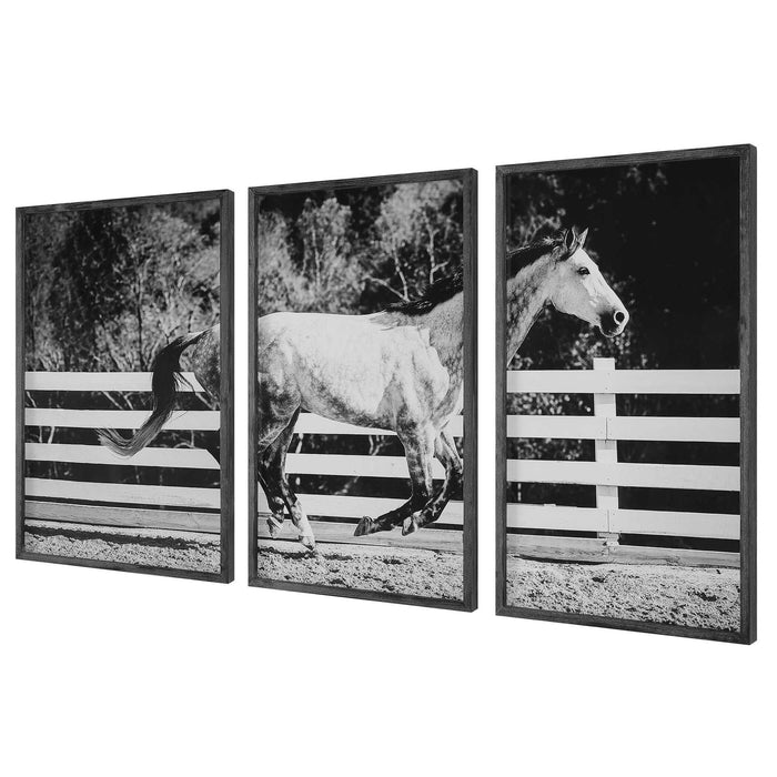 Galloping - Forward Equine Prints (Set of 3)