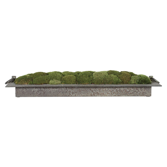 Heath - Preserved Moss Tray - Gray / Green