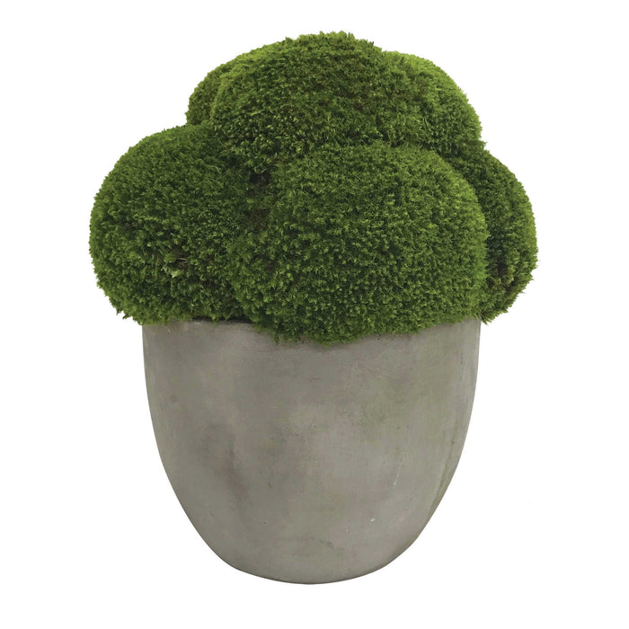 Cale - Moss Accent - Green