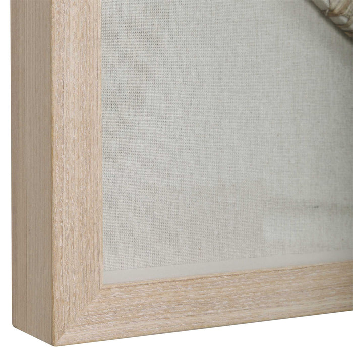 Braided Cirque - Shadow Box - Brown / White / Woodtone