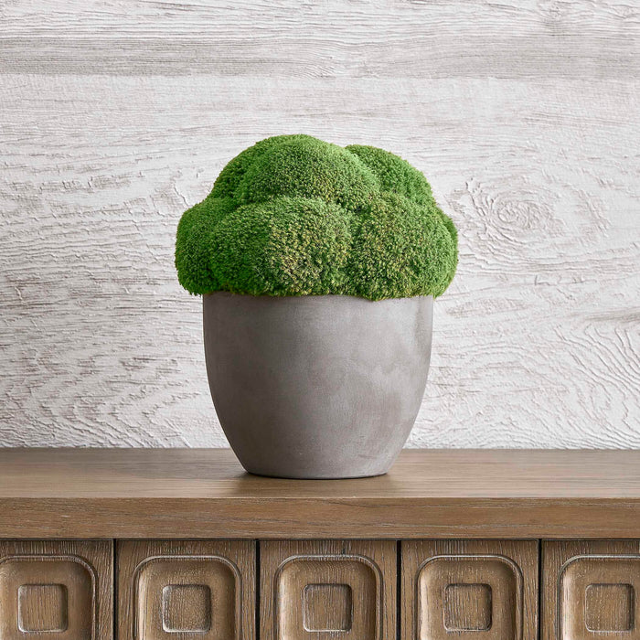 Cale - Moss Accent - Green