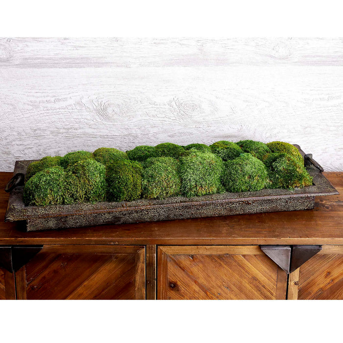 Heath - Preserved Moss Tray - Gray / Green
