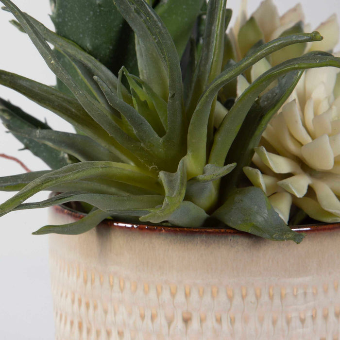 Seaside Succulents (Set of 2) - Pearl Silver