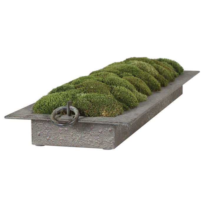 Heath - Preserved Moss Tray - Gray / Green