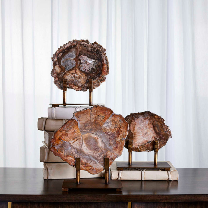 Petrified - Wood Sculpture - Bronze / Brown / Woodtone