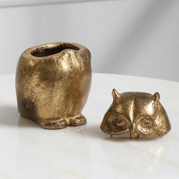 Screech Owl - Box - Gold