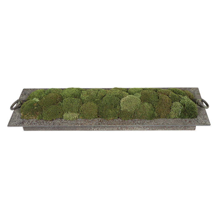 Heath - Preserved Moss Tray - Gray / Green