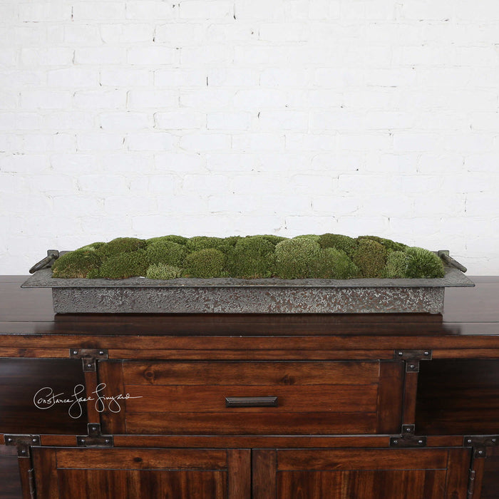 Heath - Preserved Moss Tray - Gray / Green